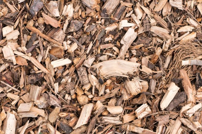 Is Wood Compostable?