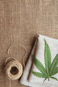 Is Hemp Really That Sustainable Here’s The Truth