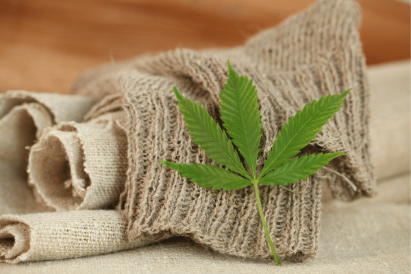 Is Hemp Really That Sustainable Here’s The Truth