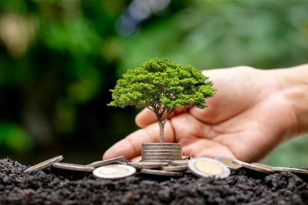 Sustainable Investing Ethical Investment Green Funds